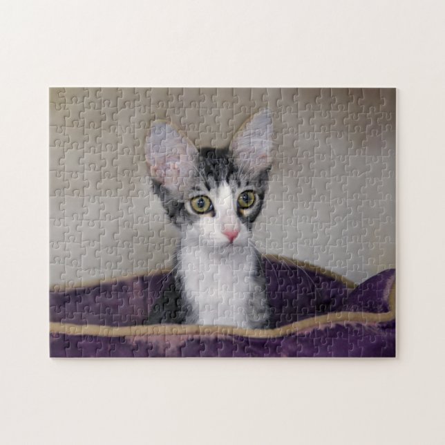 Puzzle Gatito de Tabby en una cama morada (Horizontal)