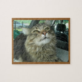 Puzzle Gatito del Coon de Maine