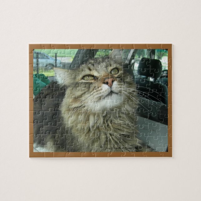 Puzzle Gatito del Coon de Maine (Horizontal)