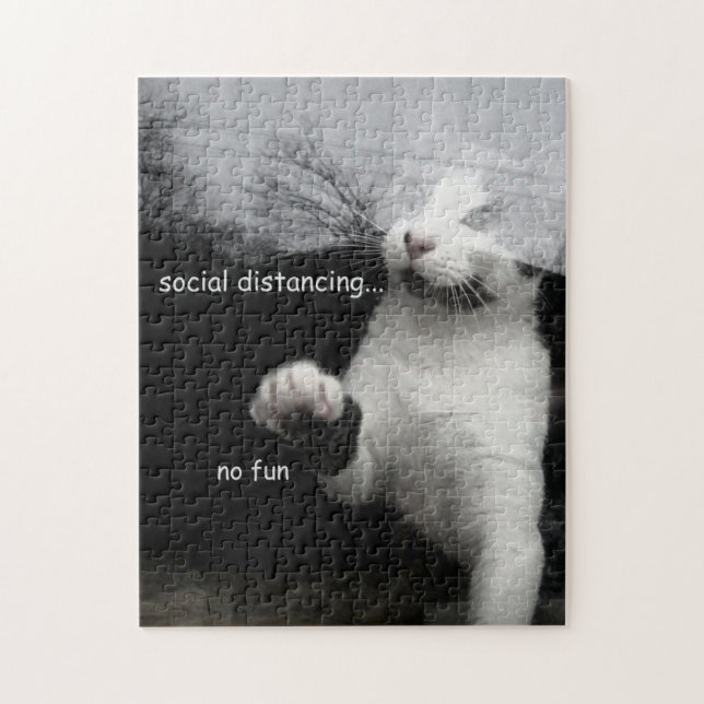 Puzzle Gatito distante social (Vertical)