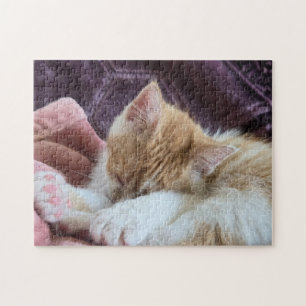 Puzzle Gatito durmiendo