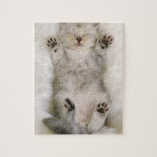 Puzzle Gatito durmiendo en una alfombra blanca esponjosa,