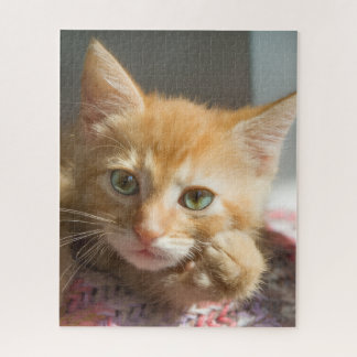 PUZZLE GATITO GINGER DE CUMPLEAÑOS