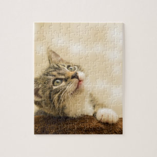 Puzzle Gatito lindo con una pata al aire libre