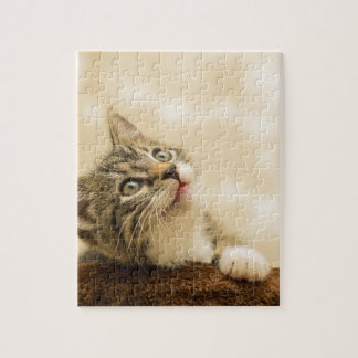 Puzzle Gatito lindo con una pata al aire libre