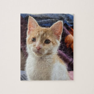 Puzzle Gatito naranja