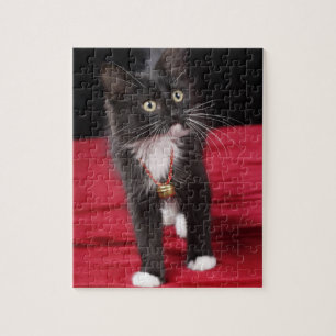 Puzzle Gatito negro y blanco de pelo corto, 2 meses y med