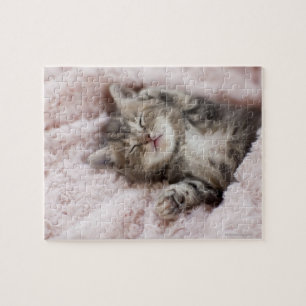 Puzzle Gatito que duerme en la toalla