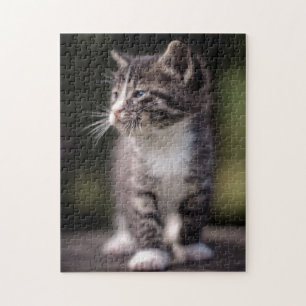 Puzzle Gatito que se coloca alto