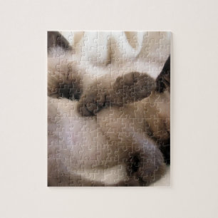 Puzzle Gatito siamés lindo del gato del mascota de los