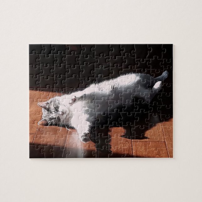 Puzzle gatito tomando el sol (Horizontal)