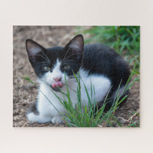 Puzzle gatito tuxedo
