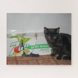 Puzzle Gatitos