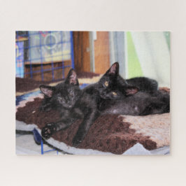 Puzzle Gatitos