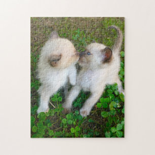 Puzzle gatitos besándose