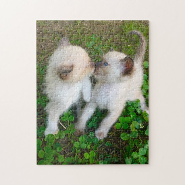 Puzzle gatitos besándose (Vertical)