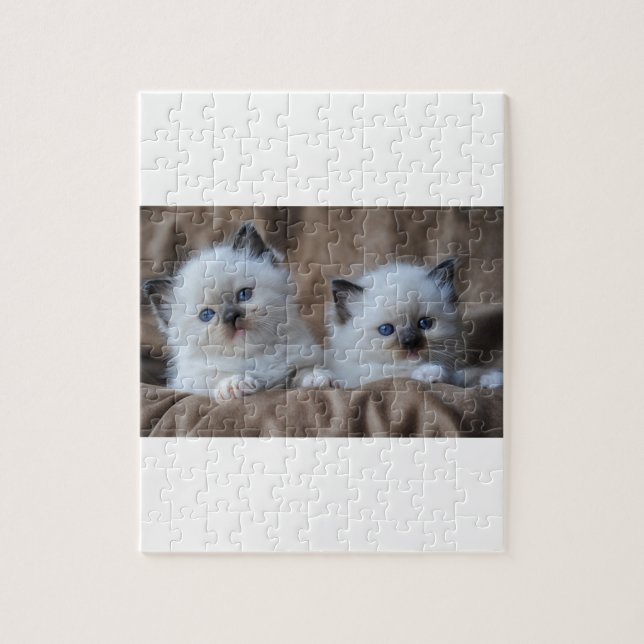 Puzzle Gatitos de Ragdoll (Vertical)