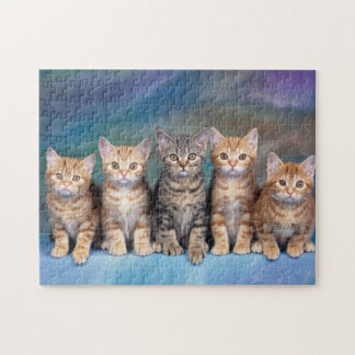 Puzzle Gatitos de Tabby x Cinco