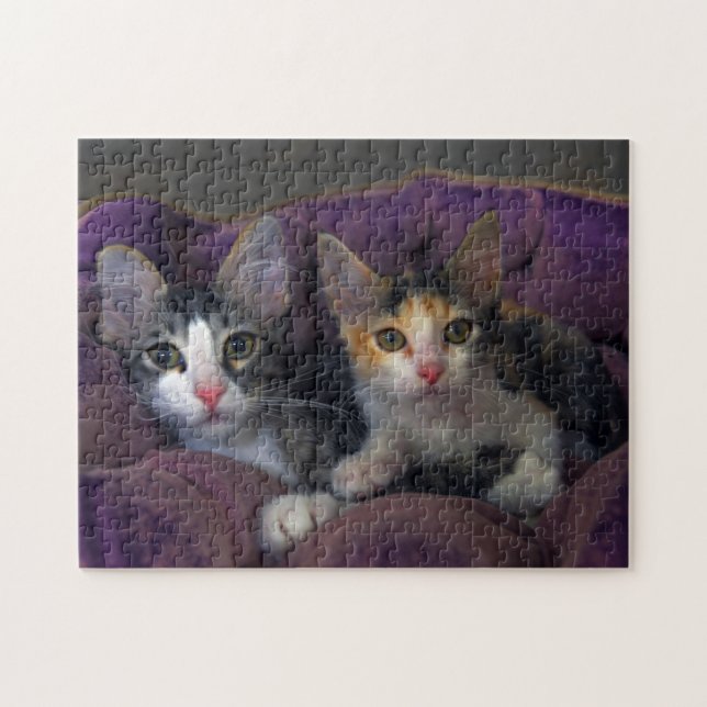 Puzzle Gatitos en una cama morada (Horizontal)