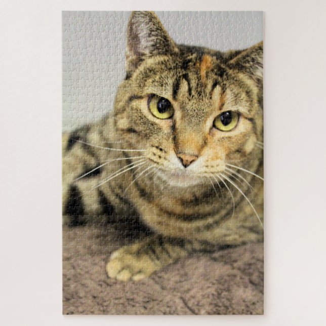 Puzzle Gato (Vertical)