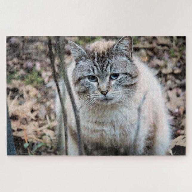 Puzzle Gato (Horizontal)