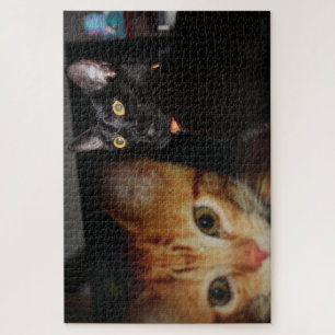 Puzzle Gato