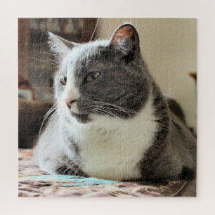 Puzzle Gato