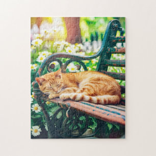 Puzzle Gato Acogedor Durmiendo en Jardín en Banco