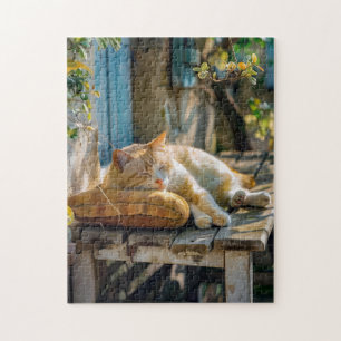 Puzzle Gato Acogedor Durmiendo en Jardín en Banco