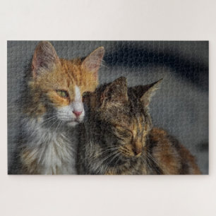 Puzzle Gato Adorable