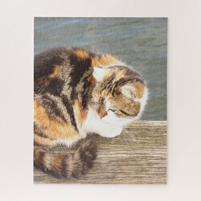 Puzzle gato afortunado, de varios carriles en un tablero  (Vertical)