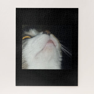 Puzzle gato atigrado mirando hacia arriba en primer plano