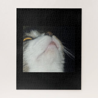 Puzzle gato atigrado mirando hacia arriba en primer plano