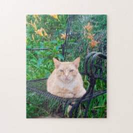 Puzzle Gato atigrado naranja sentado en una silla Foto