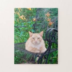 Puzzle Gato atigrado naranja sentado en una silla Foto