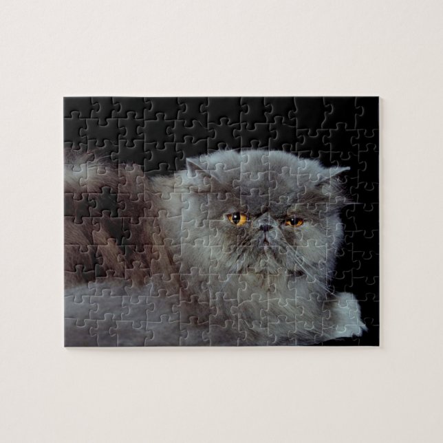 Puzzle Gato azul persa (Horizontal)