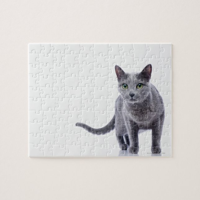 Puzzle Gato azul ruso (Horizontal)