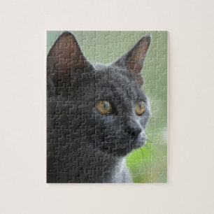 Puzzle Gato azul ruso