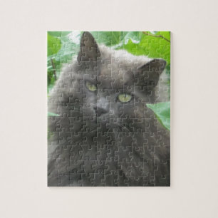 Puzzle Gato azul ruso gris largo