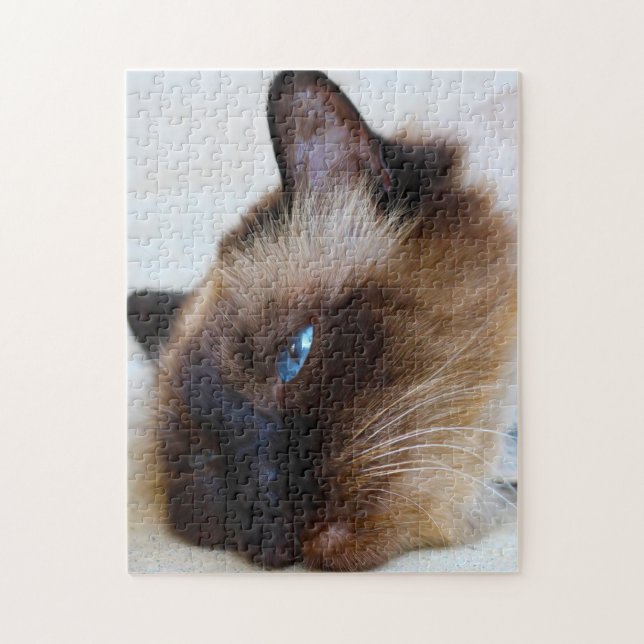 Puzzle Gato birmano. (Vertical)