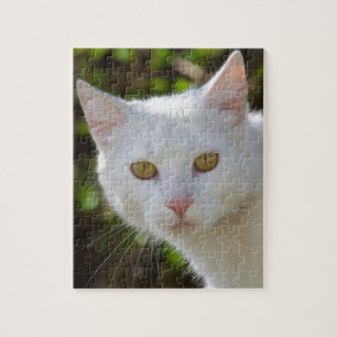 Puzzle Gato blanco con los ojos amarillos