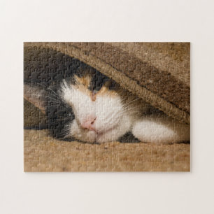 Puzzle Gato Calico Debajo De La Alfombra
