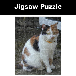 Puzzle Gato calico sentado afuera
