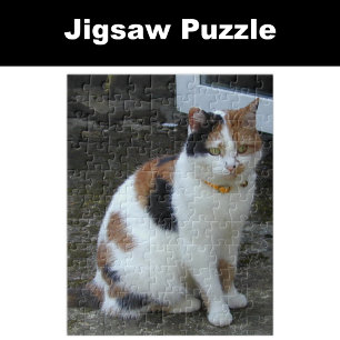 Puzzle Gato calico sentado afuera