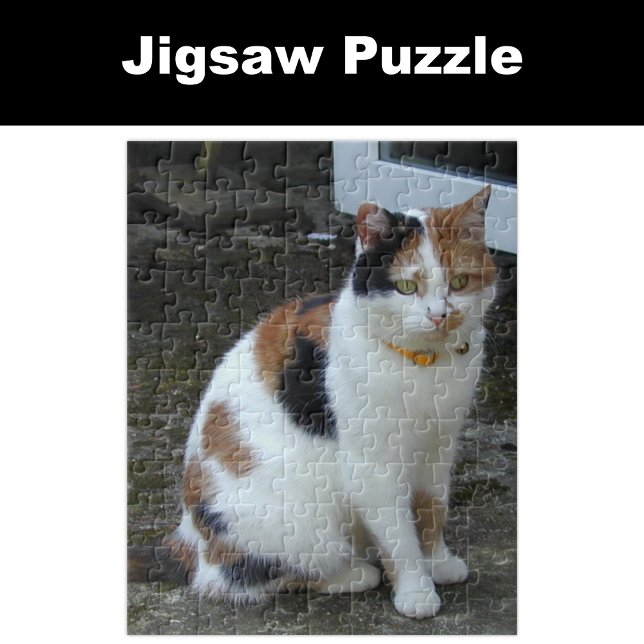 Puzzle Gato calico sentado afuera (Subido por el creador)