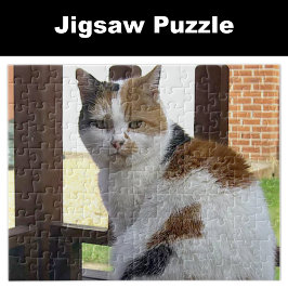 Puzzle Gato calico sentado en el decantador