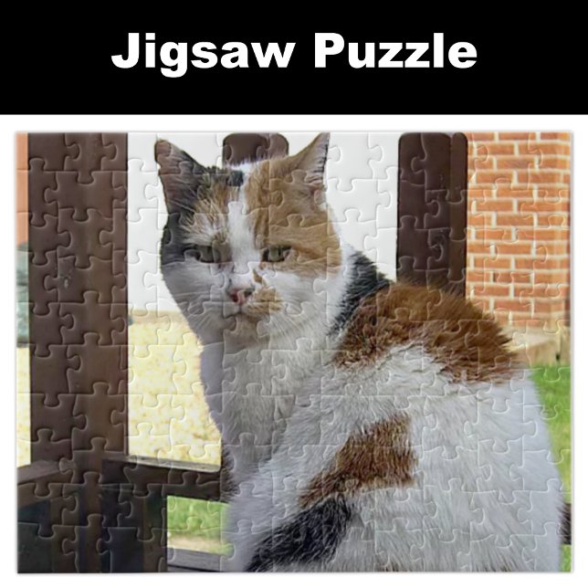 Puzzle Gato calico sentado en el decantador (Subido por el creador)