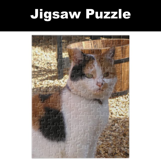 Puzzle Gato calico sentado en el jardín (Subido por el creador)