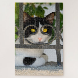 Puzzle Gato curioso con espectáculos Marco Funny Vistazo