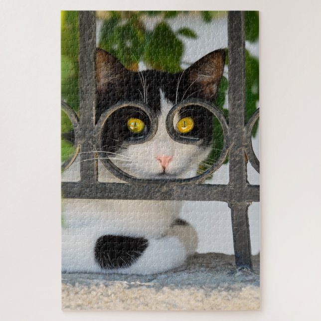 Puzzle Gato curioso con espectáculos Marco Funny Vistazo (Vertical)